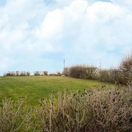 Skandinavisches In *